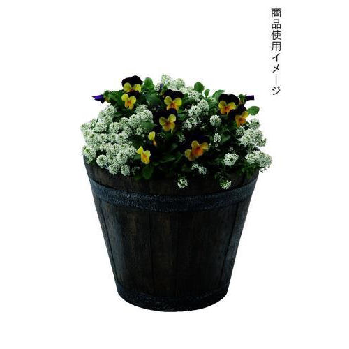 鉢 プランターの通販ランキング ホームセンター コメリドットコム