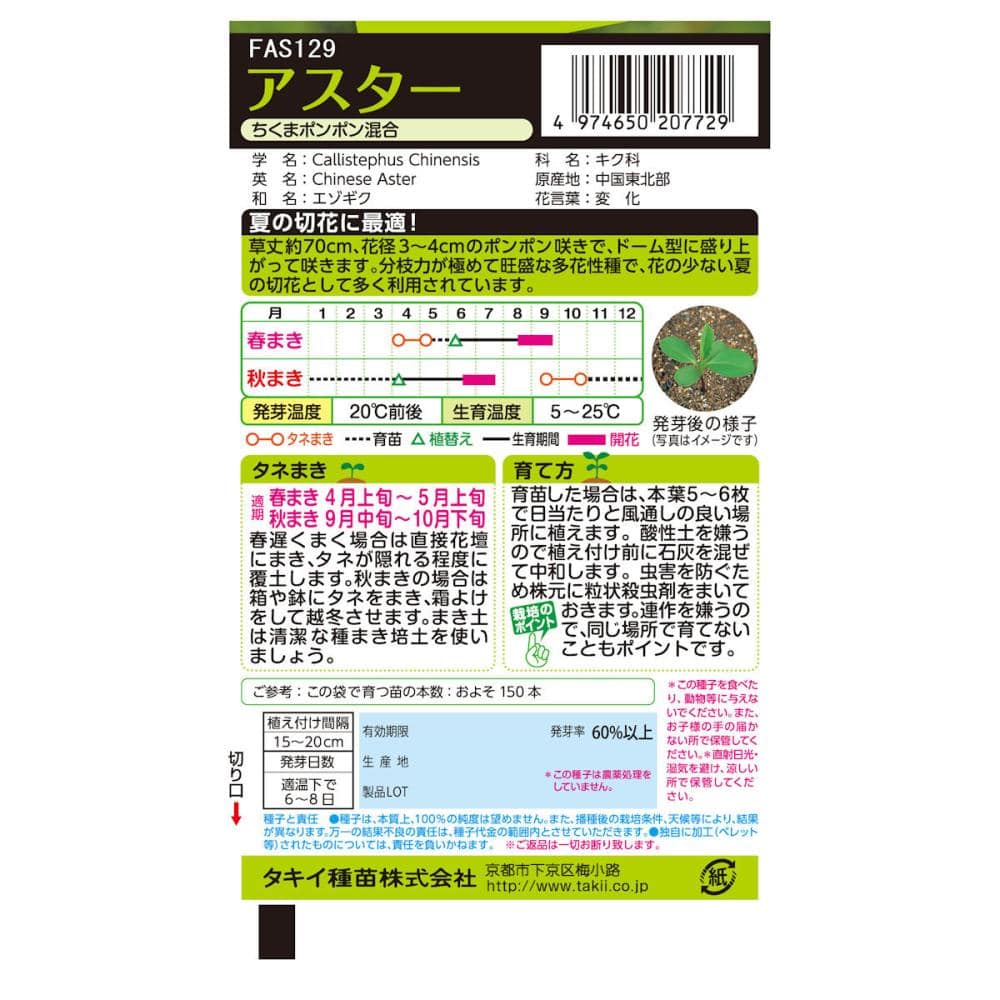 アスター種子　アスター　ちくまポンポン混合