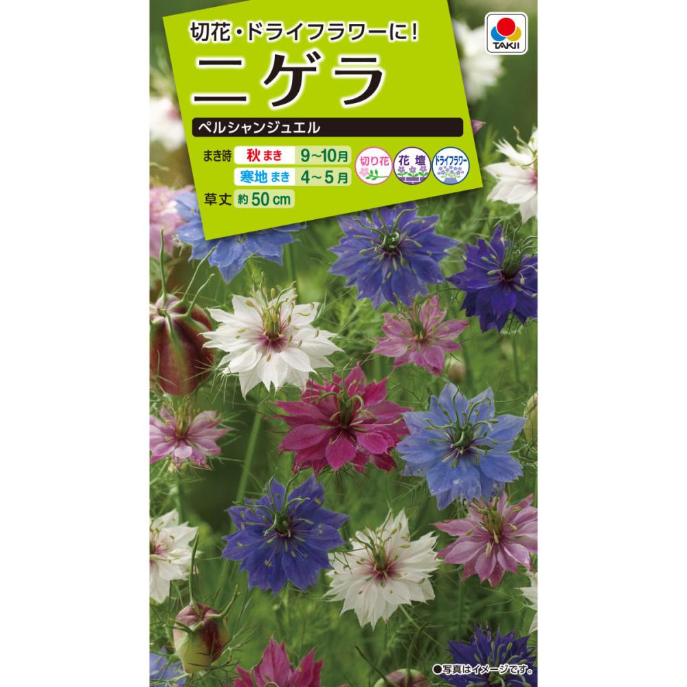 ニゲラ　ペルシャンジュエル