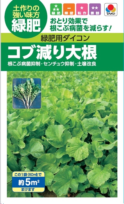 緑肥　コブ減り大根