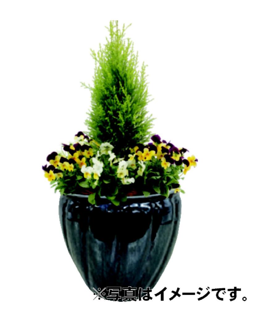 Www Komeri Com Images Goods 018 584 45 Jpg