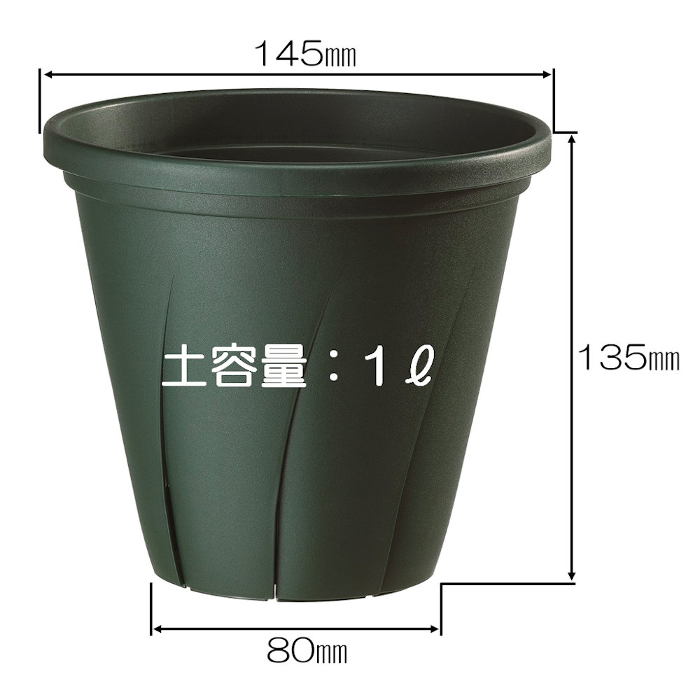 根はり鉢　ダークグリーン　５号