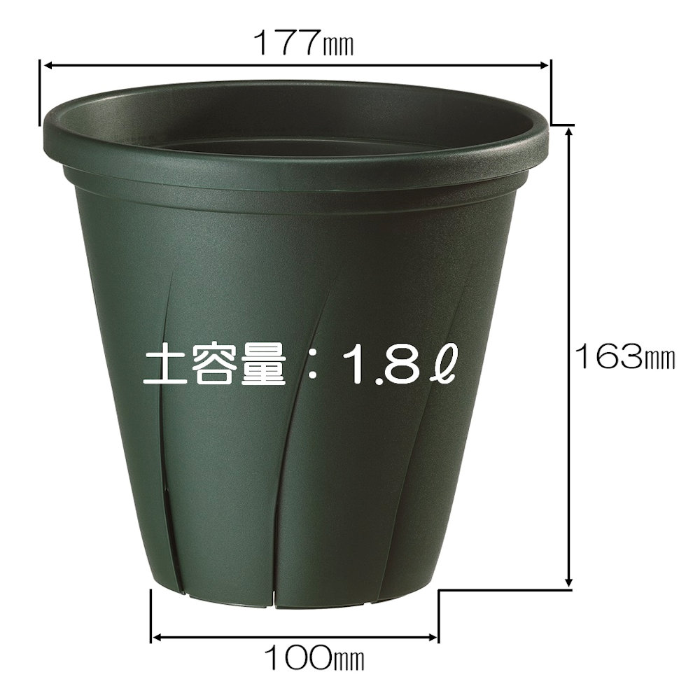 根はり鉢　ダークグリーン　６号