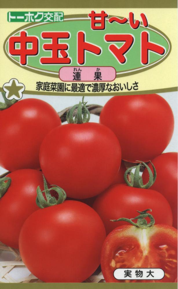 トマト種子　甘～い中玉トマト　連果（れんか）