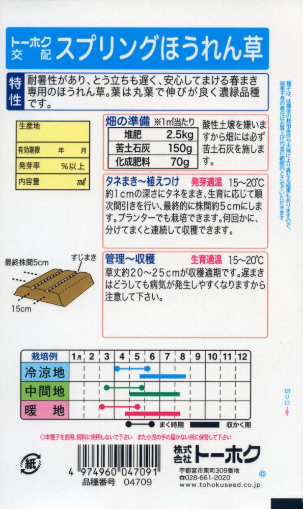 ホウレンソウ種子　おとくダネ　スプリングほうれん草