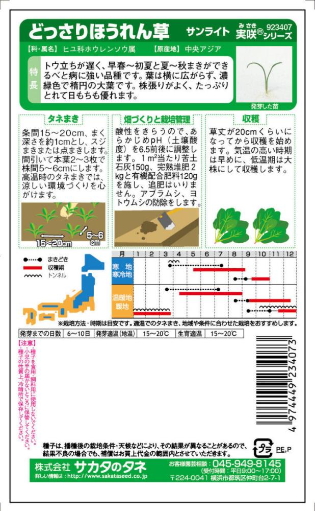 ホウレンソウ種子　どっさりほうれん草　サンライト