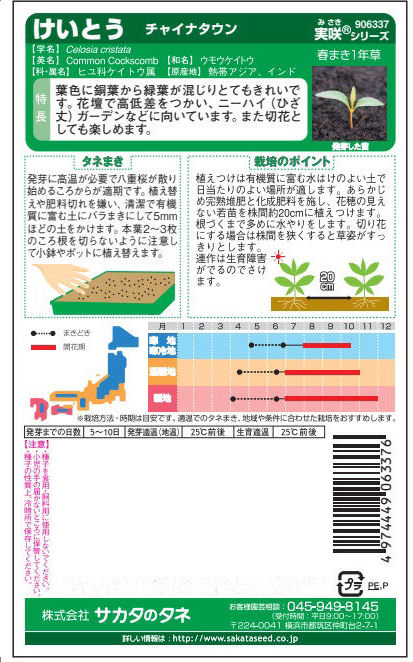 ケイトウ種子　暑さＯＫ　けいとう　チャイナタウン