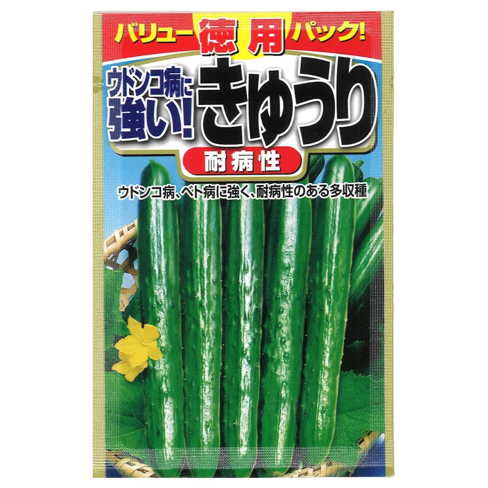 キュウリ種子　ウドンコ病に強い　多収胡瓜　バリューパック