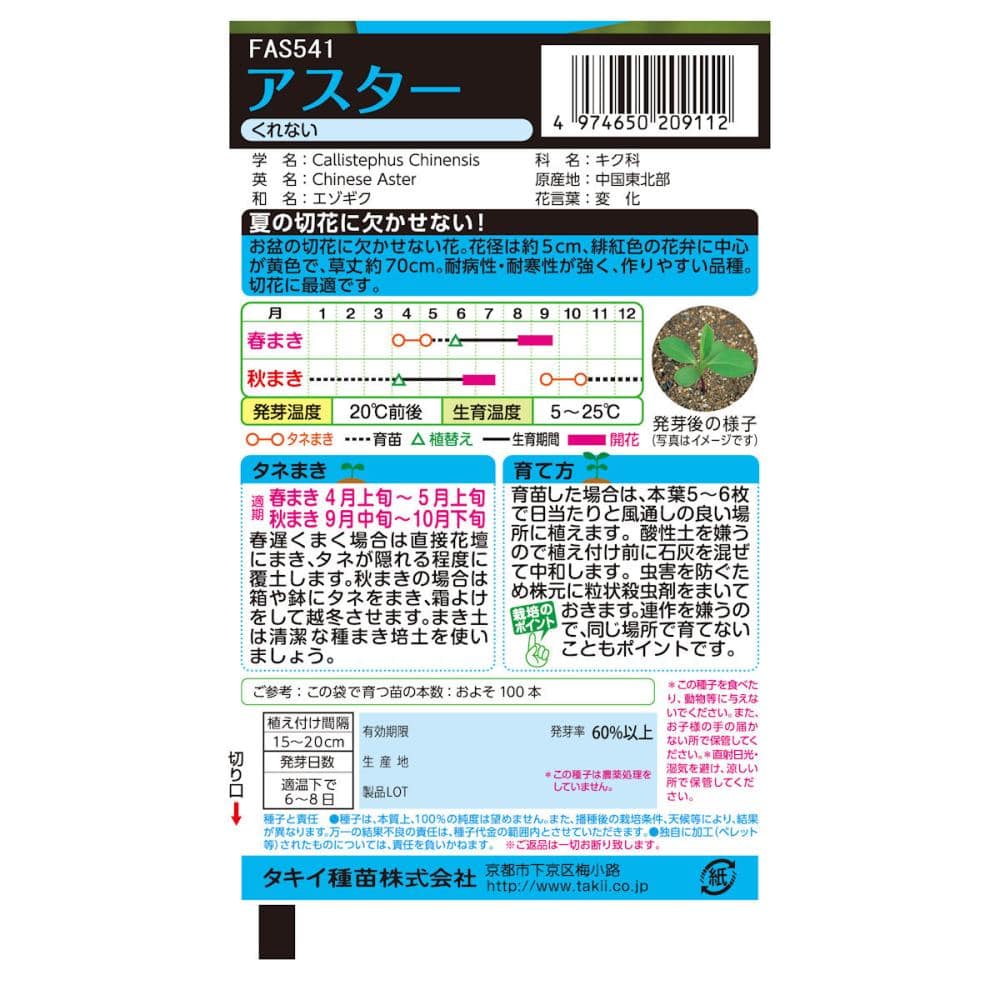 アスター種子　アスター　くれない