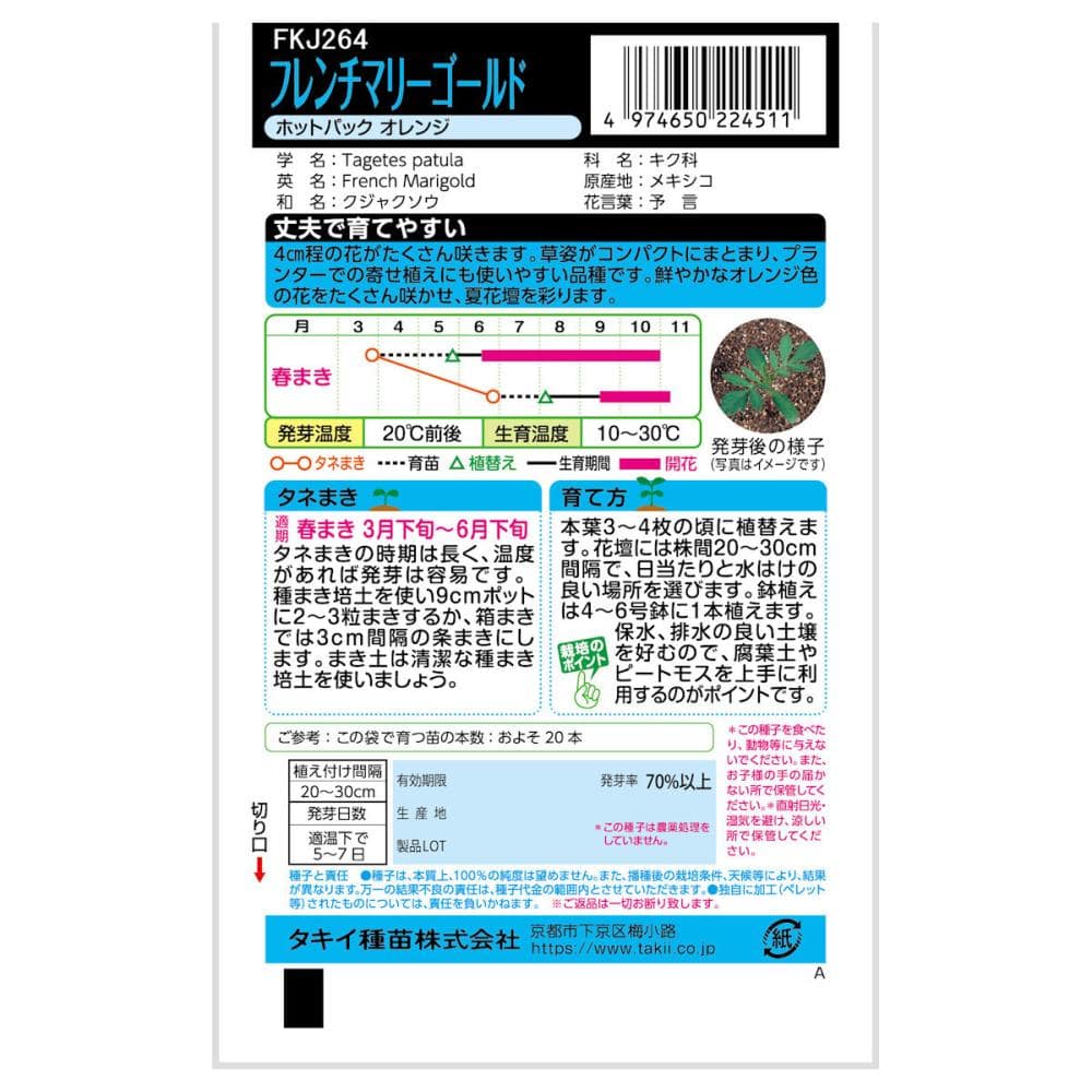 マリーゴールド種子　フレンチマリーゴールド　ホットパック　オレンジ