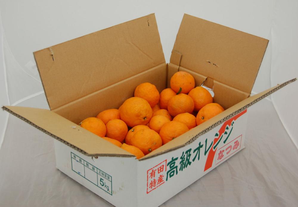 なつみ 3Lサイズ 約4．2kg（18玉前後）【和歌山県有田川