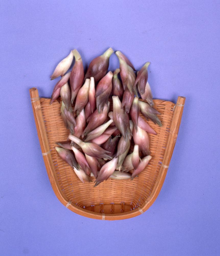 【春予約】　みょうが　１８０ｇ　【引渡予定日：３／７（土）～１５（日）】