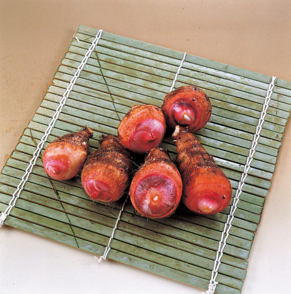 【春予約】　国産　里芋　赤芽大吉（セレベス）　２００ｇ　【引渡予定日：４／１１（土）～１９（日）】