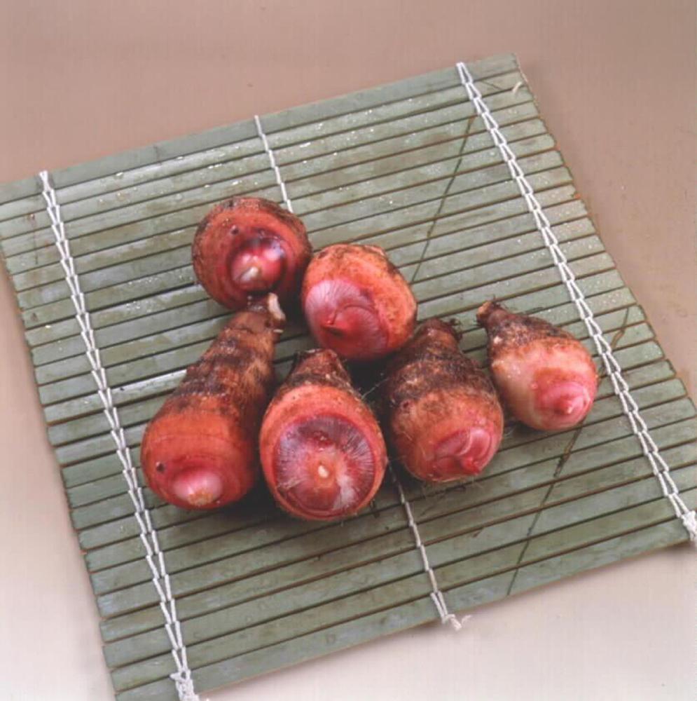【春予約】　中国産　里芋　赤芽大吉（セレベス）　５００ｇ　【引渡予定日：４／１１（土）～１９（日）】