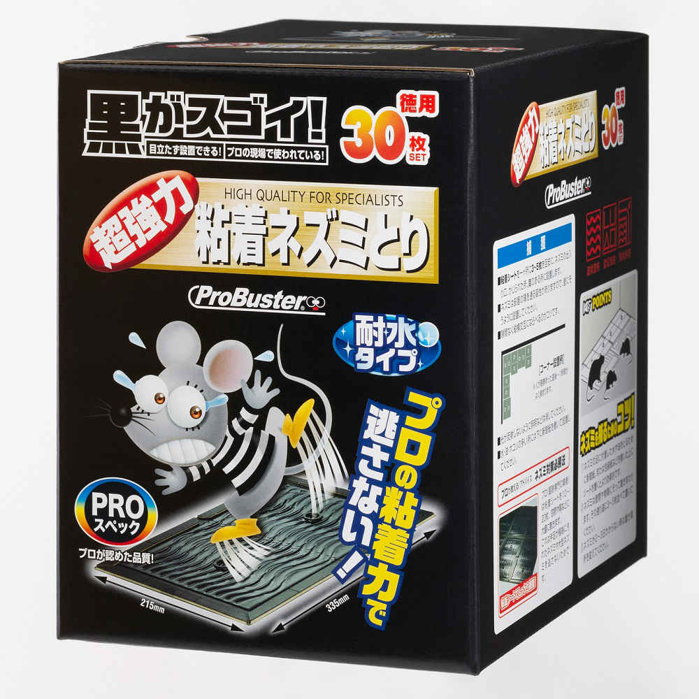 生まれのブランドで 日用品 生活雑貨の店 カットココロンブス Foot Solution つま先コンフォート 2ミリ