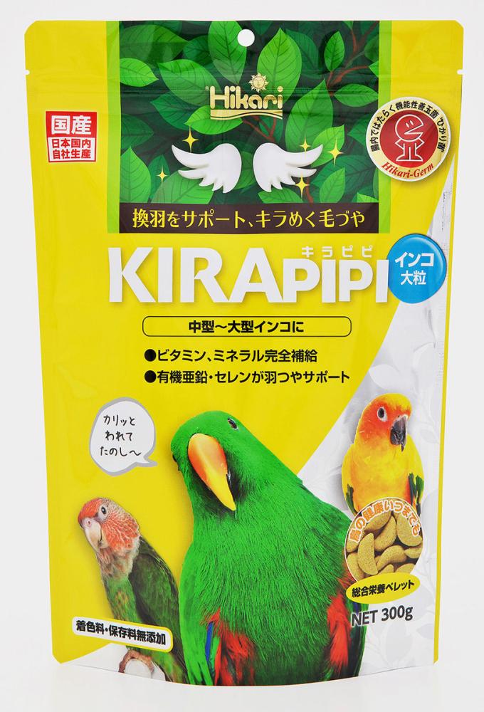 大型インコ