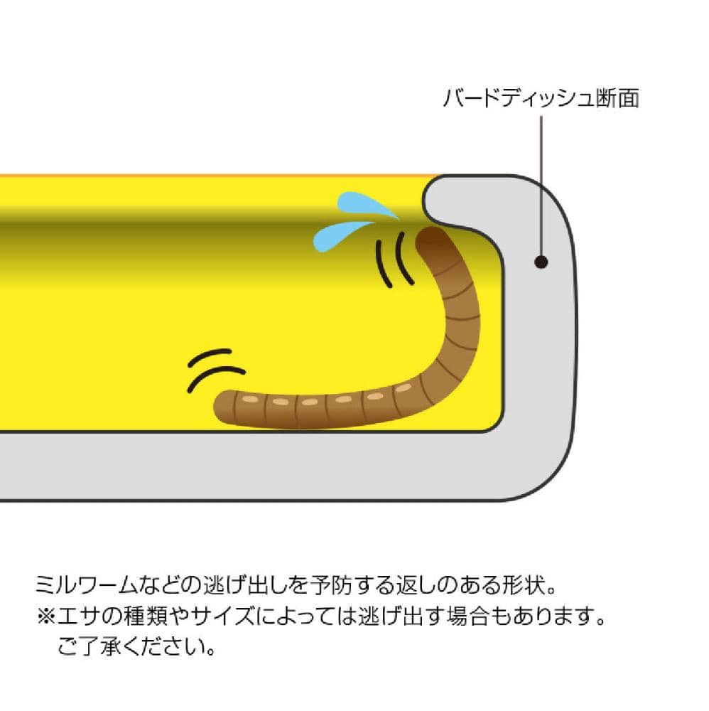 スドー　バードディッシュ