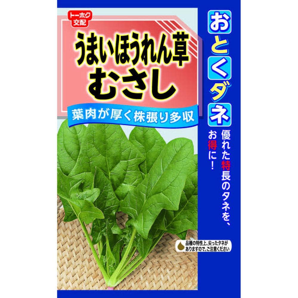 Ｆ１　うまいほうれん草　むさし　〔特大袋〕