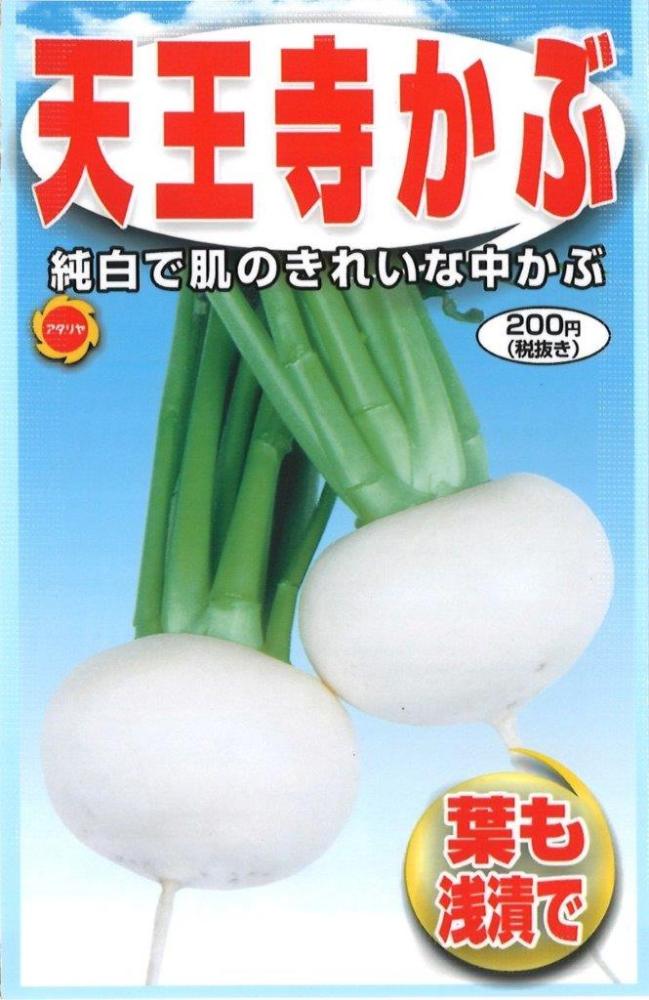 天王寺かぶ