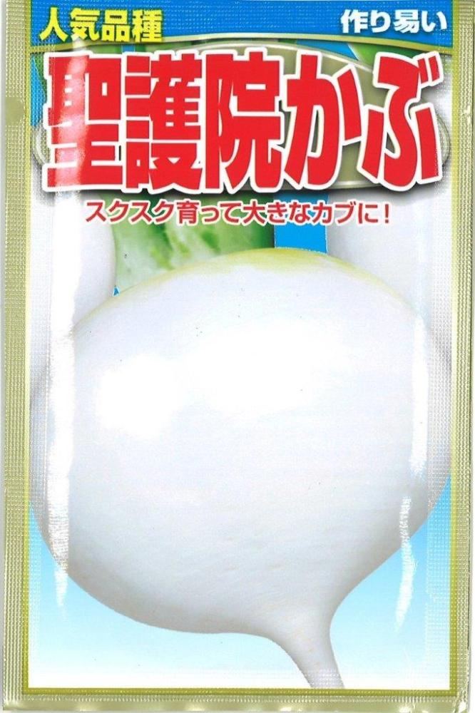 聖護院かぶ
