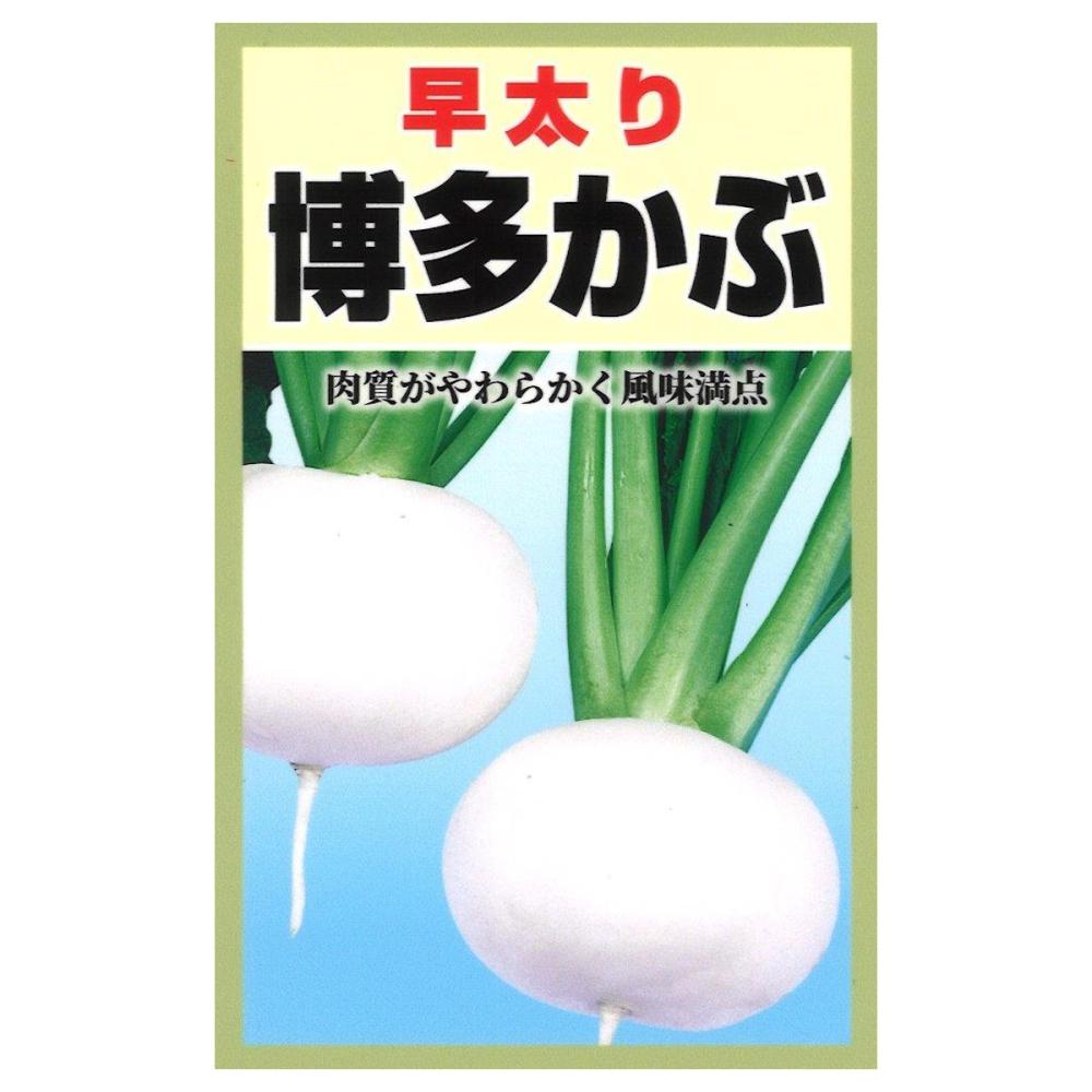 博多かぶ