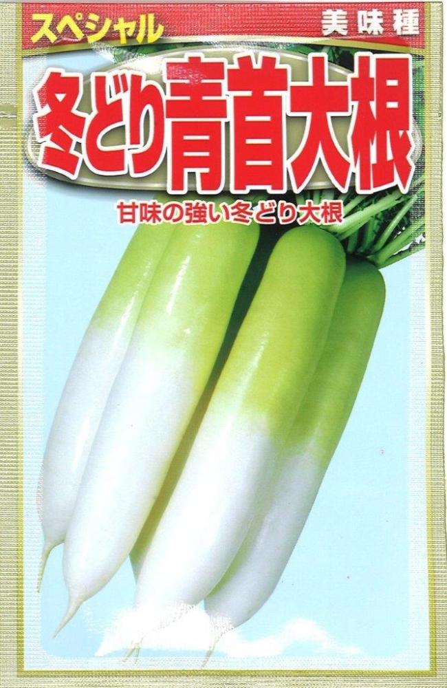 冬どり青首大根　冬の浦