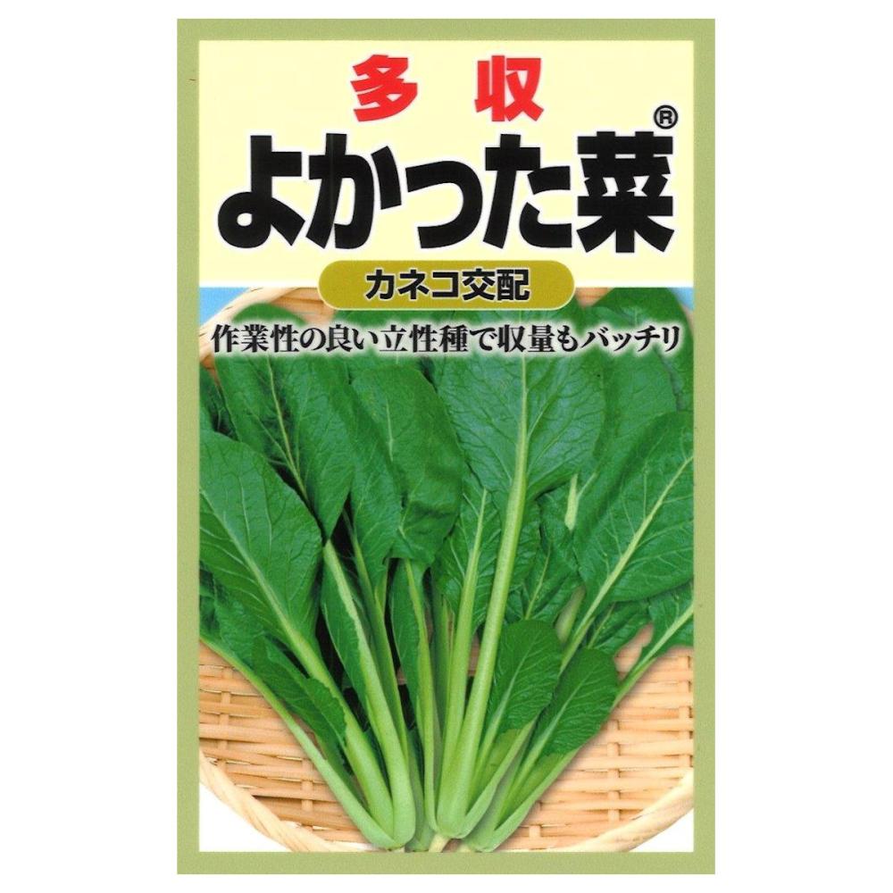 よかった菜　　　　　　　　　　　　　　　　　　　　