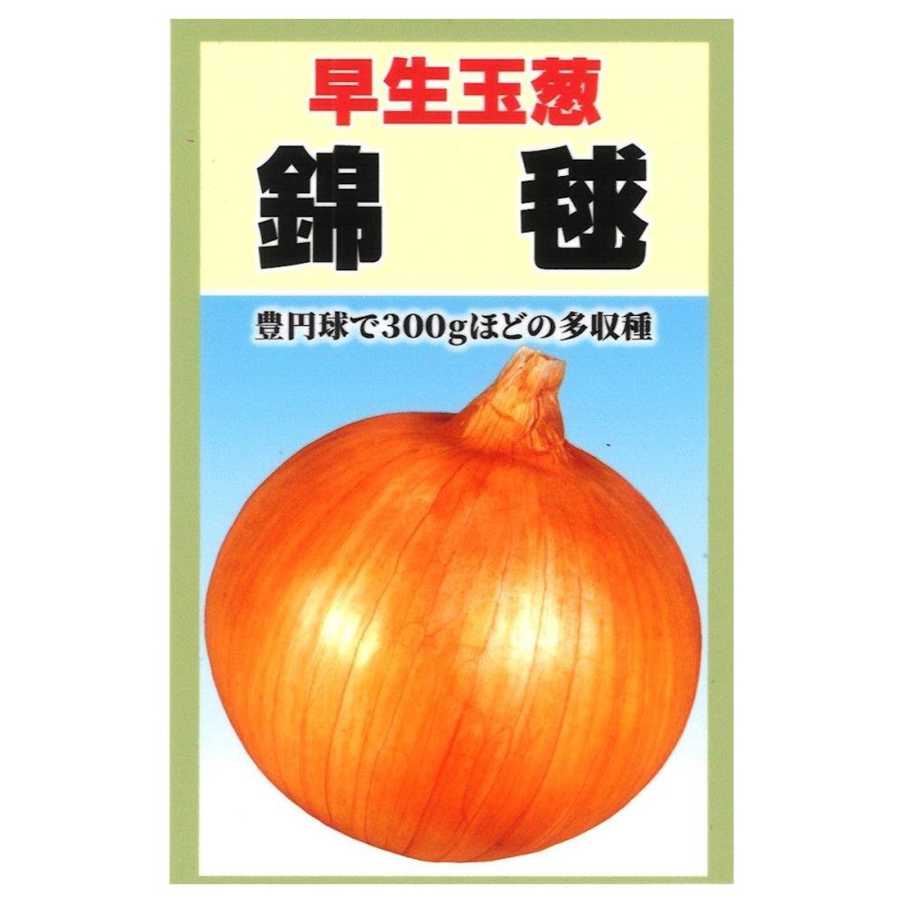 錦毬玉葱