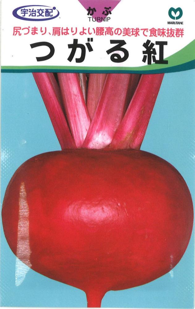 赤茎つがる紅かぶ
