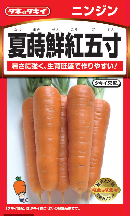 夏蒔鮮紅五寸