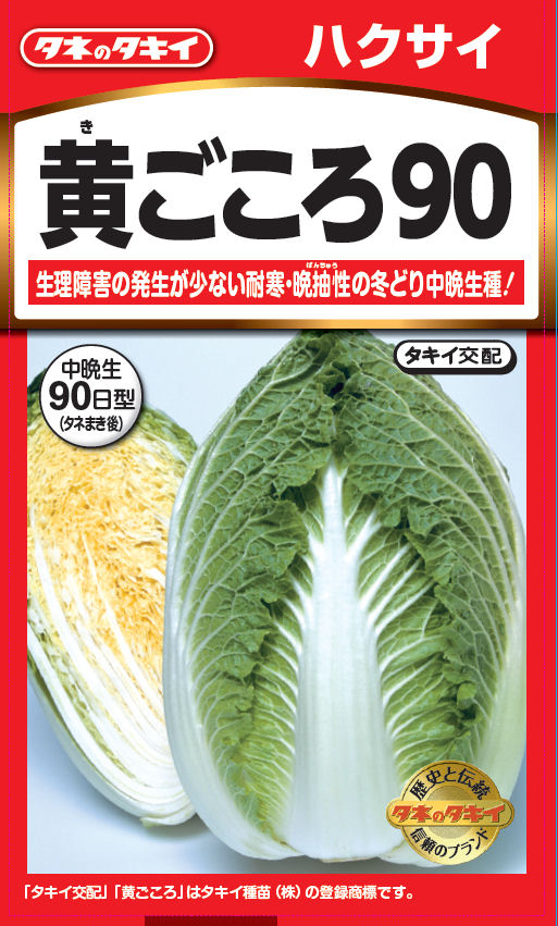 黄ごころ９０