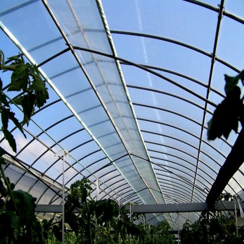 【農資予約】ＰＯ原反スカイコート　０．１×１５０×１００