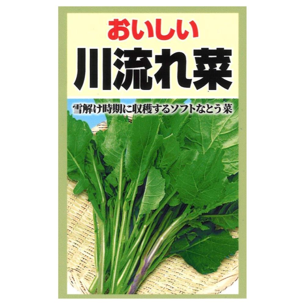 川流れ菜