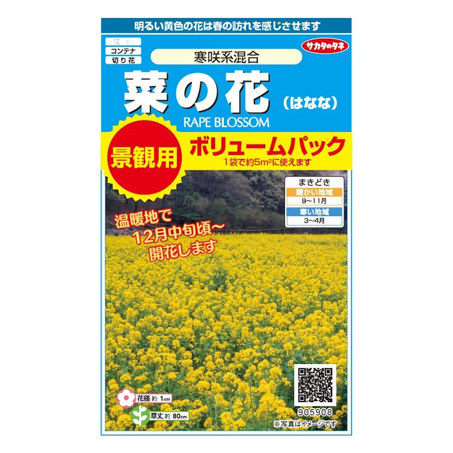 菜の花