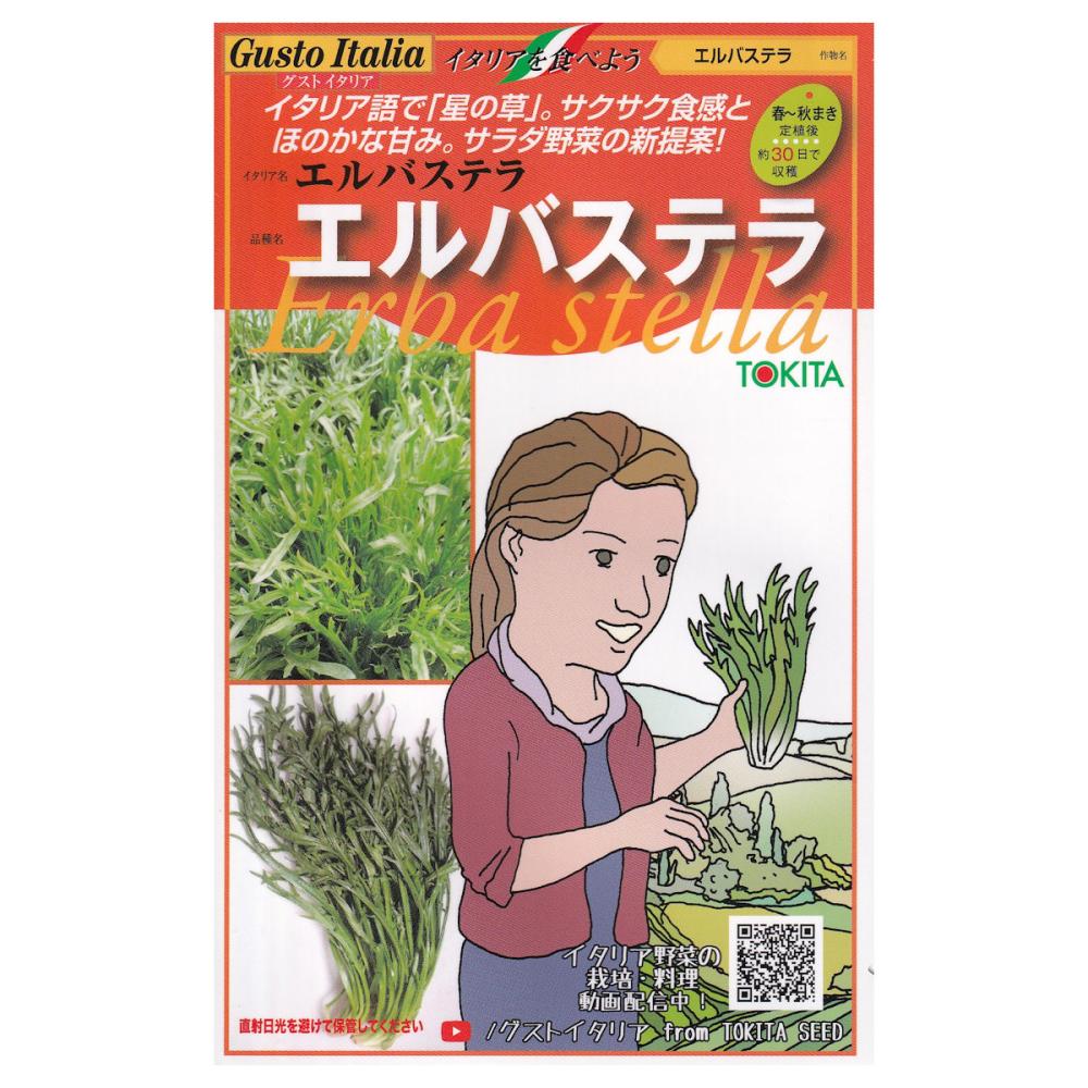【宅配専用】　葉菜種子　エルバステラ