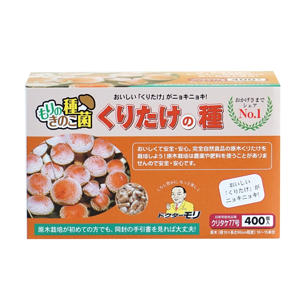 【キノコ予約】　くりたけ種駒　７７号　４００Ｐ　【申込期限：２月２２日】