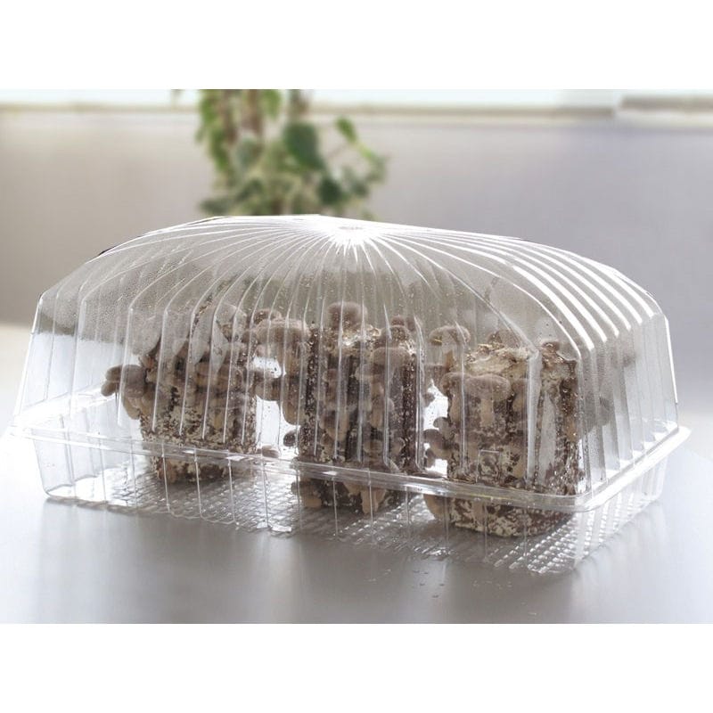 【キノコ予約】　きのこ栽培容器（Ｃ）　【申込期限：２月２２日】