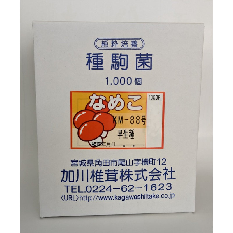 【キノコ予約】　なめこ種駒　ＫＭ－８８号　早生種　１０００Ｐ　【申込期限：２月２２日】