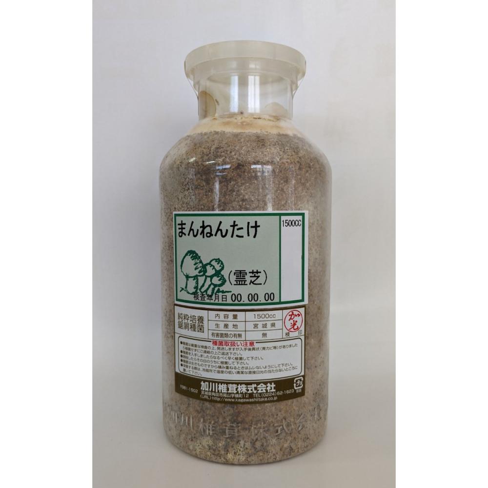 【キノコ予約】　まんねんたけおが菌　１５００ｃｃ　【申込期限：２月２２日】