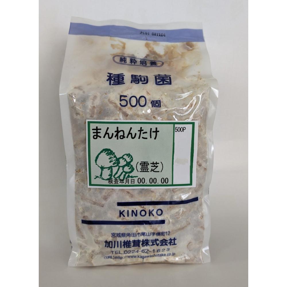 【キノコ予約】　まんねんたけ種駒　５００Ｐ　【申込期限：２月２２日】