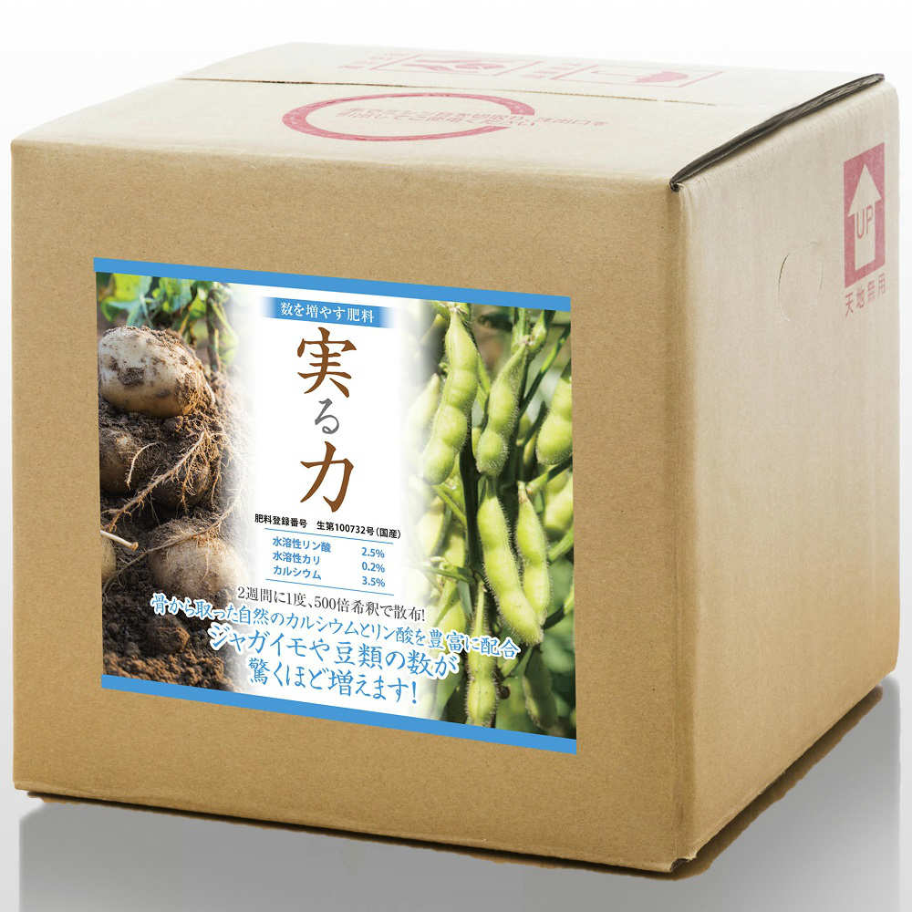 実る力　１０ｋｇ　箱