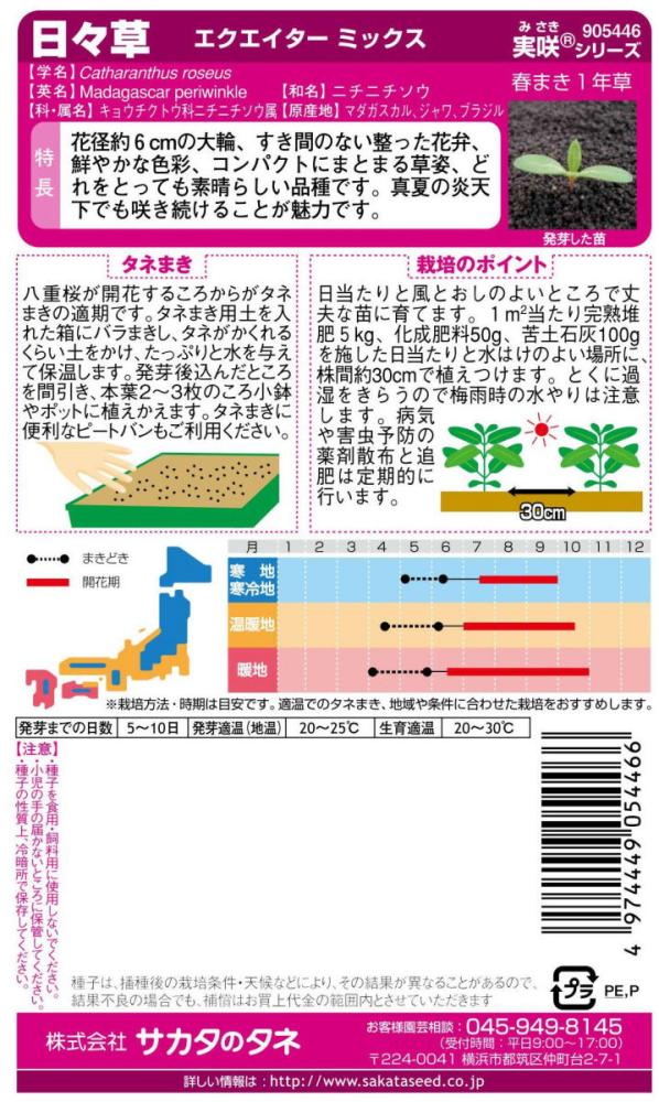 草花種子　日々草エクエイターミックス