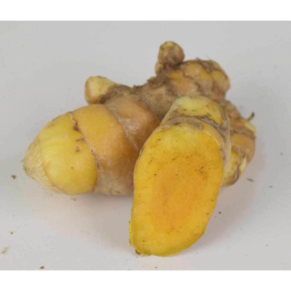 【野菜予約】　秋ウコン　２００ｇ　（国産）　【申込期限：３月１日】