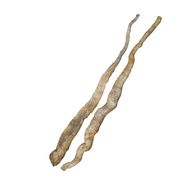 【野菜予約】　自然薯　大地の子　６本　（国産）　【申込期限：３月１日】