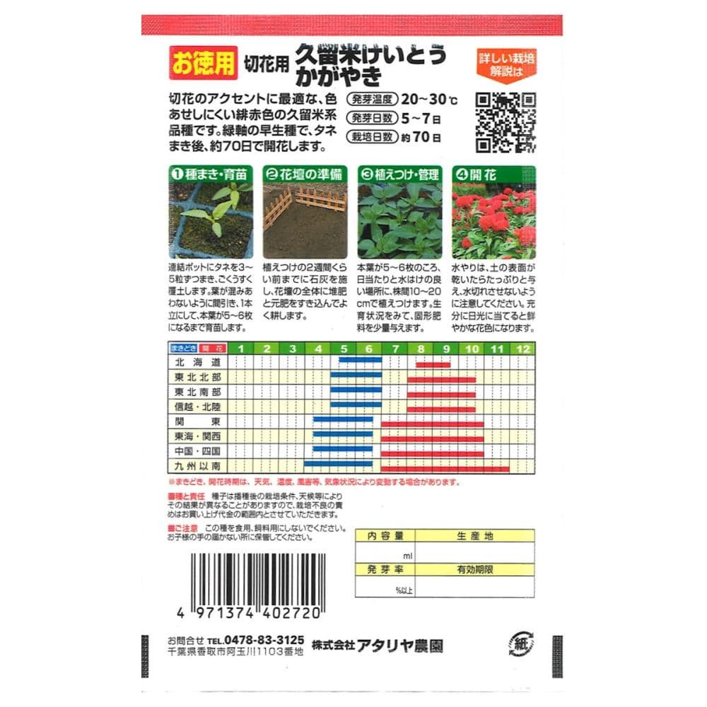 ケイトウ種子　徳用　久留米けいとう