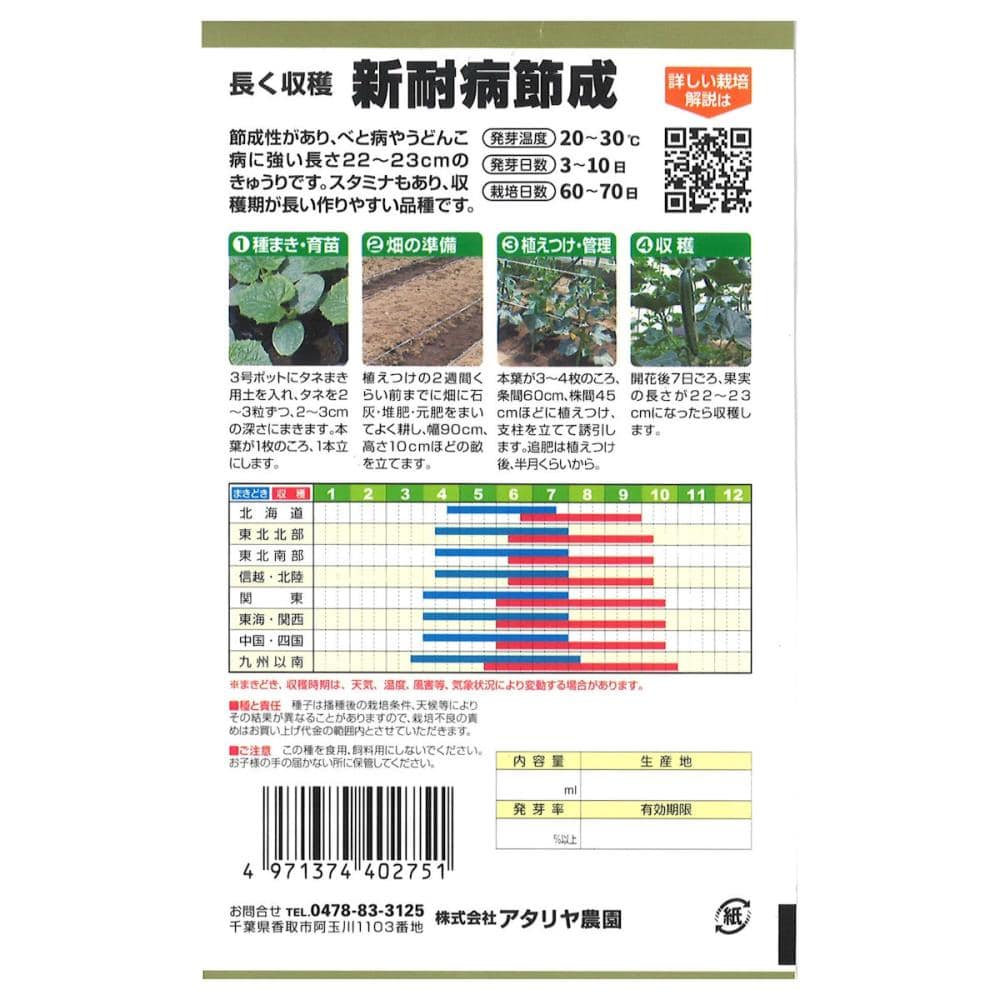 キュウリ種子　耐病新節成胡瓜