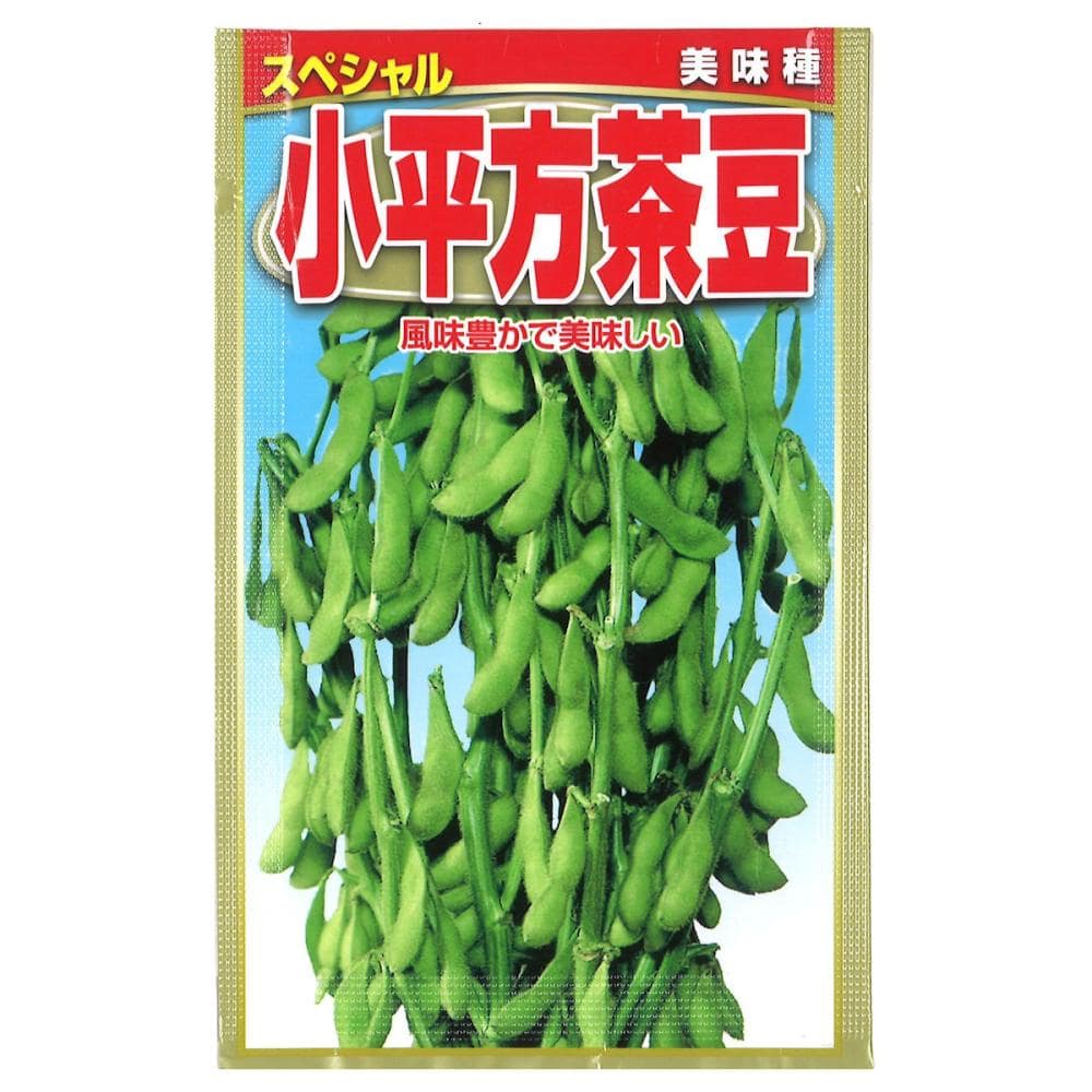 エダマメ種子　小平方茶豆
