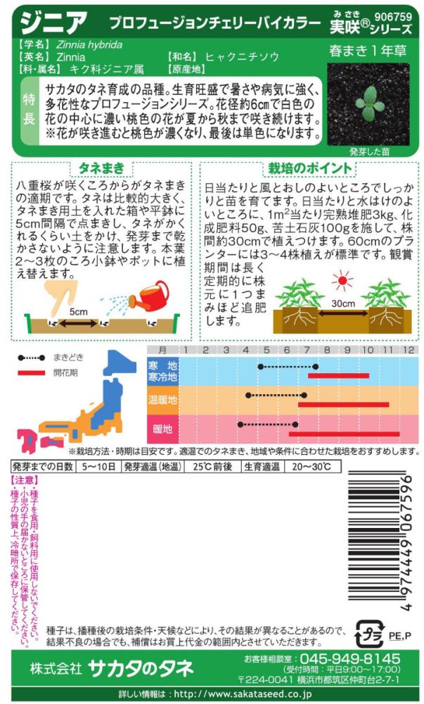 ヒャクニチソウ種子　暑さＯＫジニアプロフュージョンチェリーバイカラー