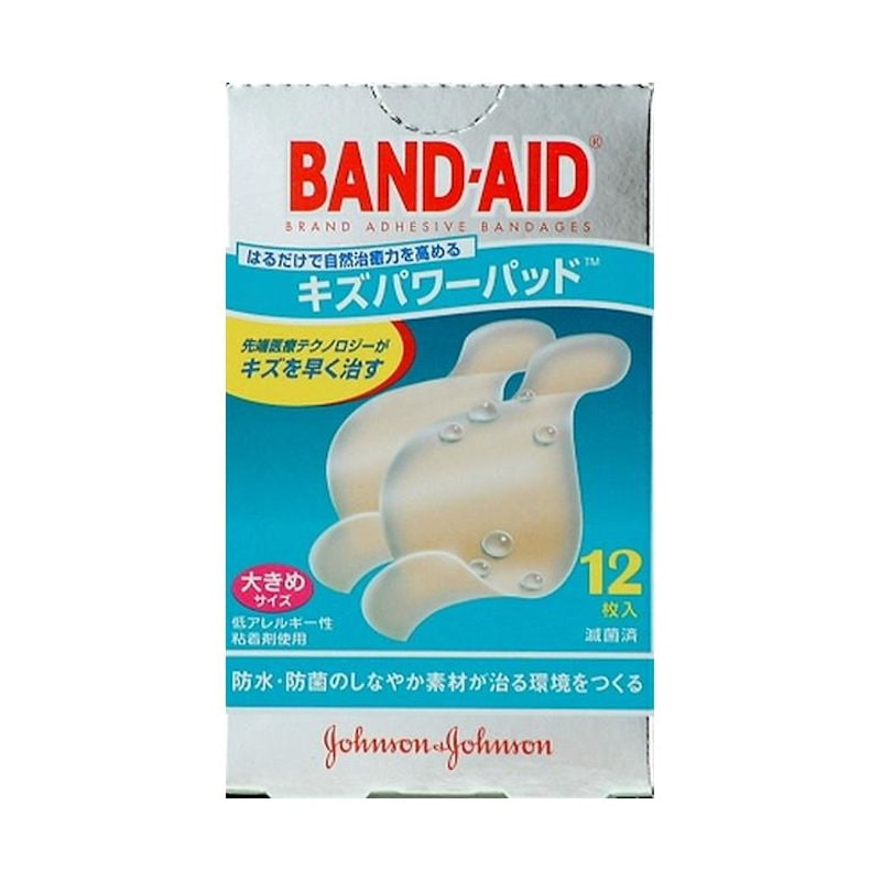 大きめ　１２枚入り