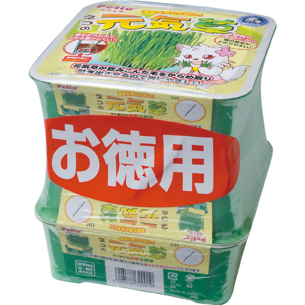 ペティオ ネコの元気草 3コパック